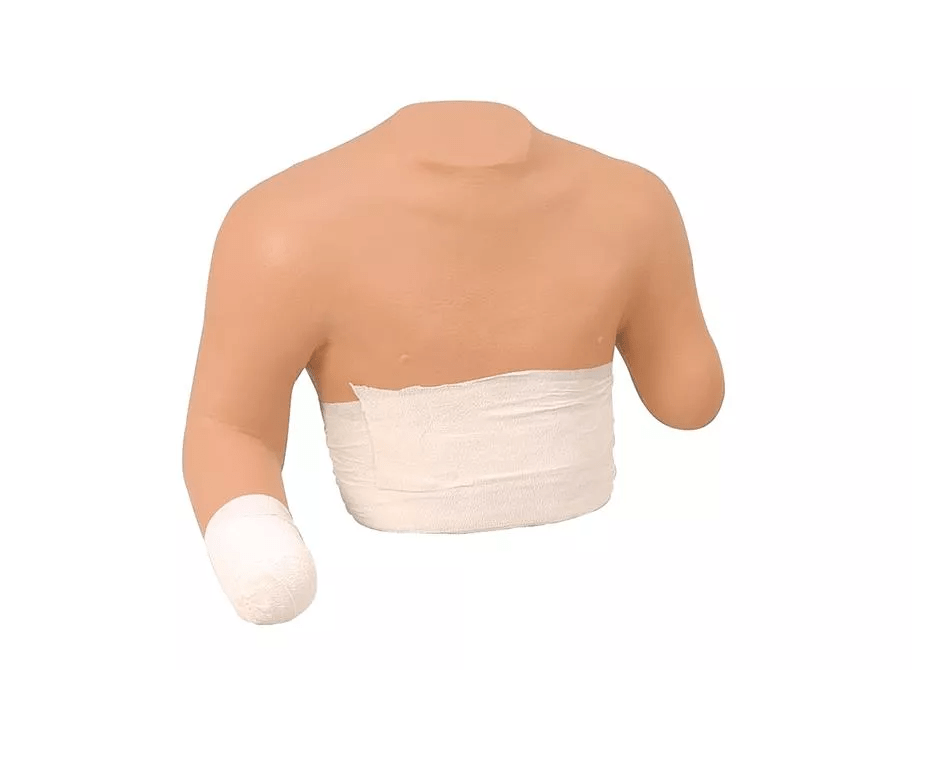 Stumpfverbandstrainer Oberkörper - Erler - Zimmer